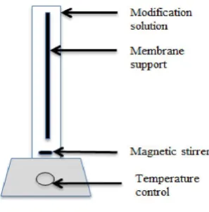 Fig. 2. Membrane preparation process 