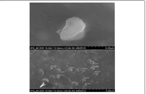 Fig. 4 TEM image of Ag-Extract NPs