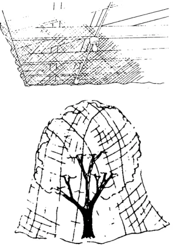 Figure 3. Netting can be used to exclude birds from