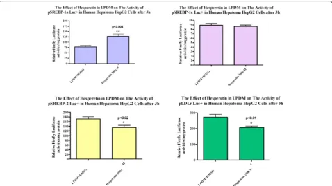 Fig. 4 Effect of hesperetin in LPDM on the Activity of Human pSREBP-1a Luc+, pSREBP-1c Luc+, pSREBP-2 Luc + and pLDLr Luc + in Human HepatomaHepG2 Cells after 3 h