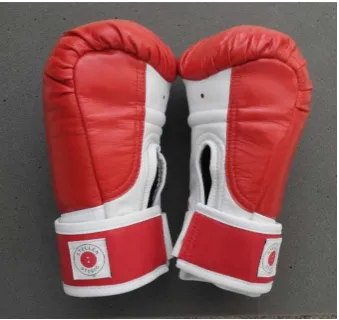 Figure 10. Low-impact gloves with hemispherical bladder, improved wrist support and inclusion of new leather sections providing the gloves with the appearance of having thumb compartments
