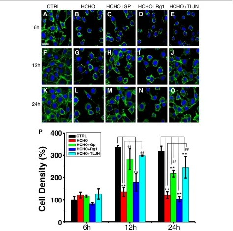 Figure 3 TLJN and geniposide have a neuroprotective effect on SH-SY5Y cells exposed to formaldehyde