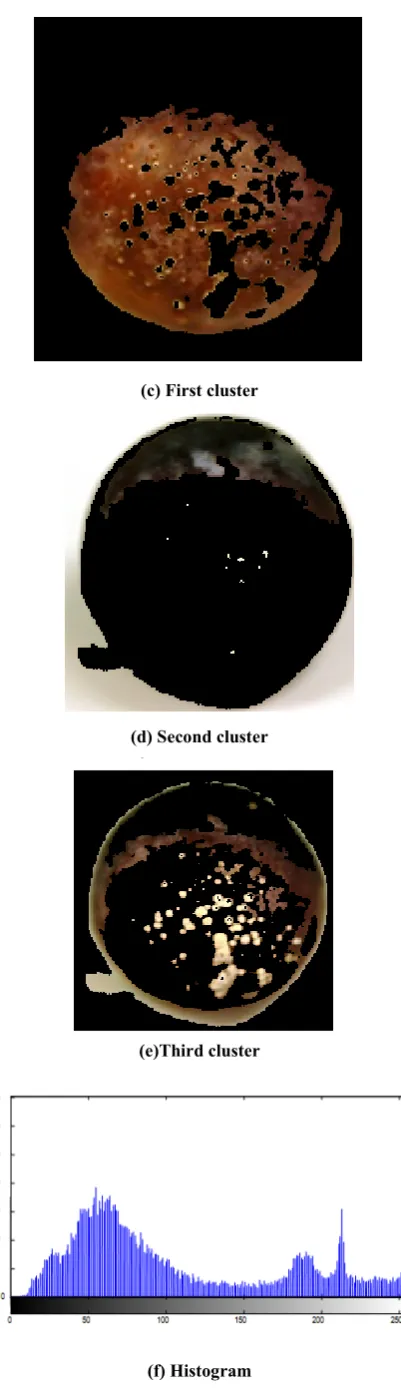 Fig. 1. K-means defect segmentation of plums 