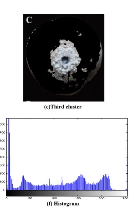 Fig. 6. Fuzzy C-means defect segmentation of peach 