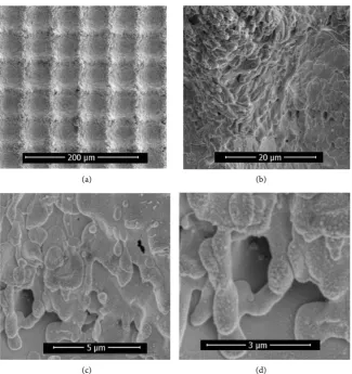 Figure 2. The water contact angles changed with the laser texturing speed.  