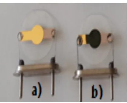 Figure 2. QCM electrodes: (a) empty, (b) PPy deposited QCM electrodes using Electrochemical Deposition Technique  
