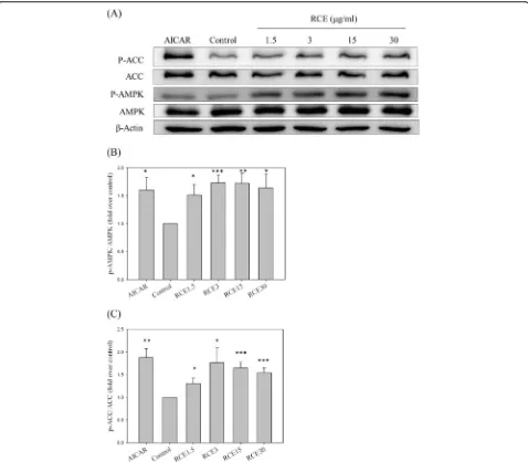 Fig. 1 Effect of RCE on phosphorylation of AMPK and ACC in HepG2 cells.HepG2 cells were incubated in high-glucose medium (33 mM) for 16 hp-AMPK and p-ACC expression levels were analyzed by western blotting (prior to the addition of the indicated concentrat