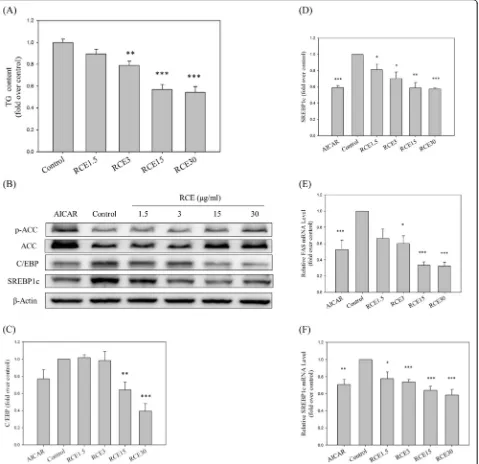 Fig. 3 Effects of RCE on TG content and expression of lipogenic enzymes in HepG2 cells