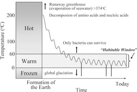 Fig. 2.Concept of the negative feedback mechanism for surface tem-perature of the Earth due to carbon cycle (Walker et al., 1981)
