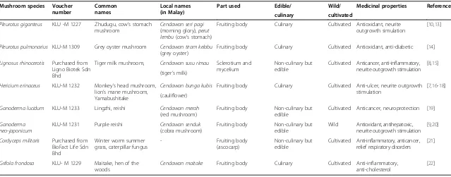 Table 1 Medicinal mushrooms used in this study, their common names, and culinary nature