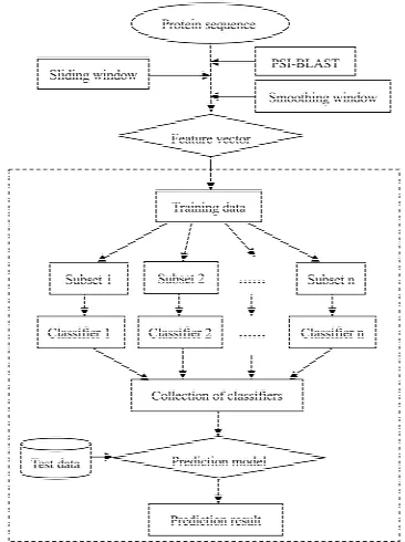 Figure 1. The entire flow chart for the prediction of drug-binding sites. 
