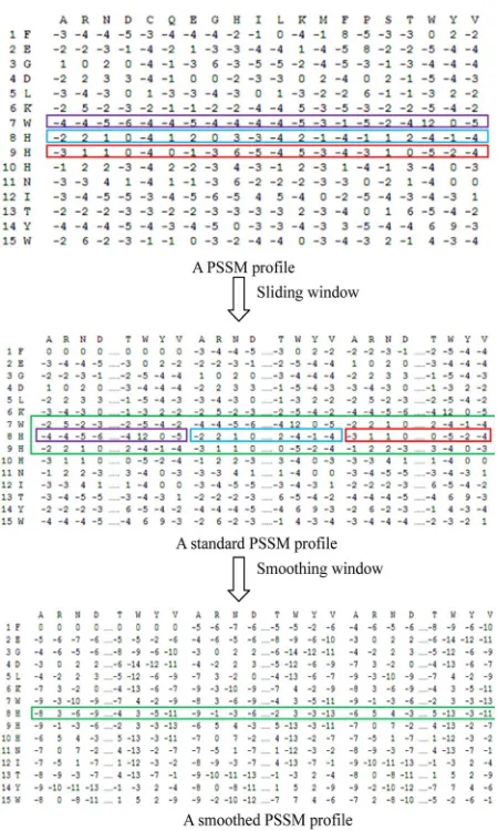 Figure 2sliding window and the smoothing window. Similar PSSM  