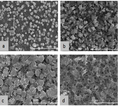 Figure 2. SEM micrographs of several ZnO thin films electrodeposited on FTO substrates from aqueous electrolyte containing 5 mM of [Zn(NO    3)2 and 0.1 mM of [KCl]for different deposited charge: -1C (a), -2.5C (b), -3.5C (c) and -4.5C (d) 