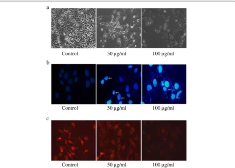 Figure 3 Effect of TD on control and treated Huh7 cells. (a)(50 and 100 Morphological changes of Huh7 cells in the presence or absence of TD