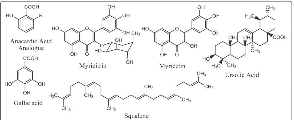 Figure 1 The chemical structures of the compounds from Syzygium jambos.