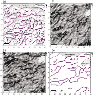 Fig. 10.(a) Edge maps obtained by proposed approach, (b) gray-shaded relief of cross-correlation map in the E-W direction, (c) gray-shaded reliefof cross-correlation map in the N-S direction, (d) edge map obtained by standard Canny algorithm