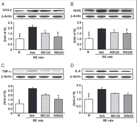 Fig. 8 COX-2, iNOS, TNF-tein expressionsesophagitis rats; RR250, Rhei Rhizoma 250 mg/kg mg/kg-treated reflux esophagitis rats