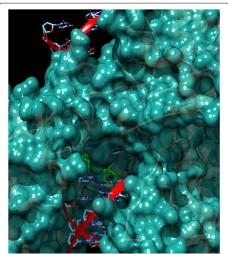 Fig. 6 Molecular Docking of lupane in Topoisomerase II with DNA(3QX3). The binding energy resulted in −9.91 kcal/mol