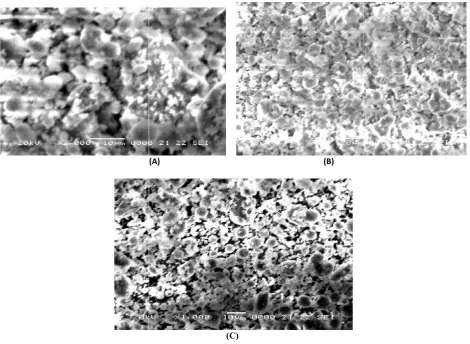 Figure 1.4 SEM micrographs of (A) MFAmicrographs of (A) MFA-5h, (B) MFA-10h and (C) MFA   10h and (C) MFA-15h 