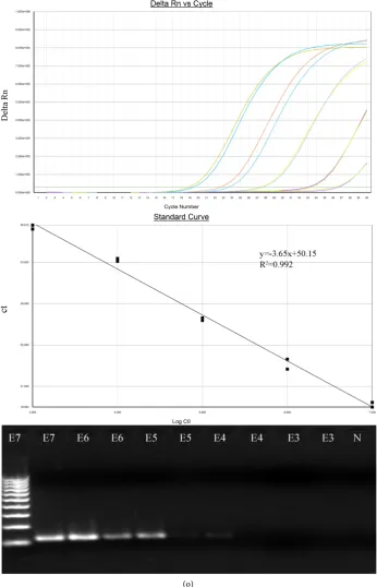 Figure 1. Amplification plots and standard curves of multiplex one-step qRT-PCR assays and comparison with RT-PCR assays