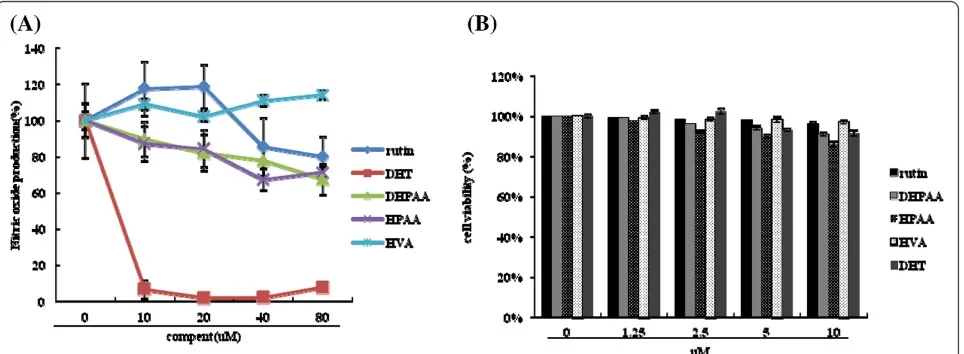 Figure 1 Effects of rutin metabolites on NO production in LPS-stimulated RAW 264.7 and DHT cytotoxicity test