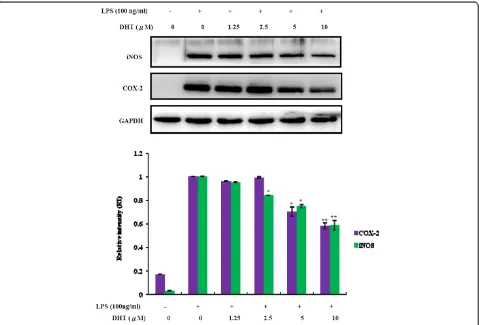 Figure 3 Effects of DHT on inhibition of COX-2 and iNOS expression in LPS-stimulated RAW264.7 macrophage