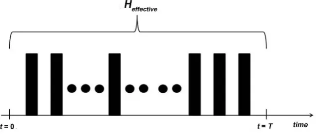 Figure 1. Basic Picture of average Hamiltonian theory. 