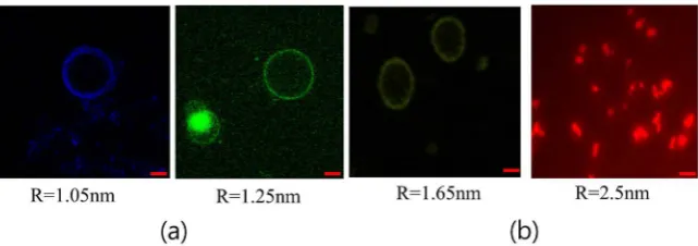 Figure 5. (a) Confocal microscope image of the blue-, green-and yellow-emission QLC (nm) surrounding lipids is observed on the fluorescent microscopy