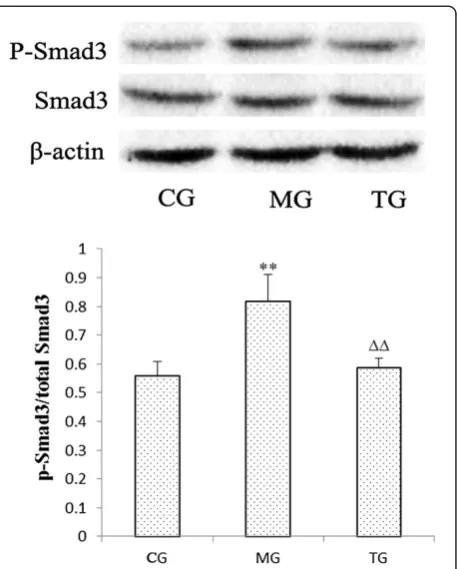 Figure 6 Smad3 phosphorylation in diabetic mice wassuppressed by astragalus injection