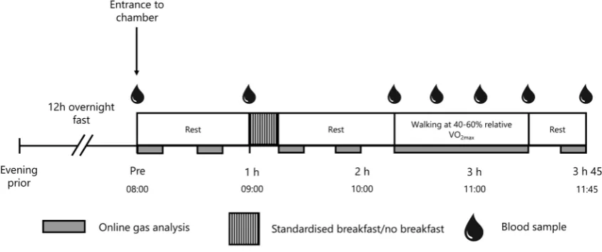 Fig. 1  Schematic of full experimental trial. Trials were completed twice in hypoxia (once with breakfast consumption, once with break-fast omission) and twice in normoxia (once with breakfast consump-