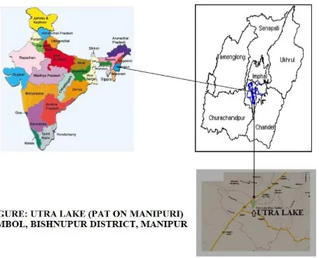 Figure 5. Biodiversity assessments of fish species in the Utra Lake (March-September 2014)    