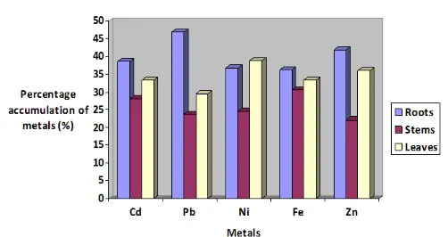 Figure 5. Percentage accumulation of metals by each plant part of A. hybridus at site 4  