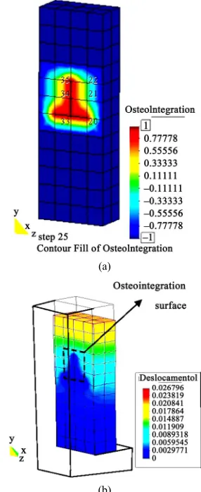 Figure 9integration (osteointegration if the specimen is consid-