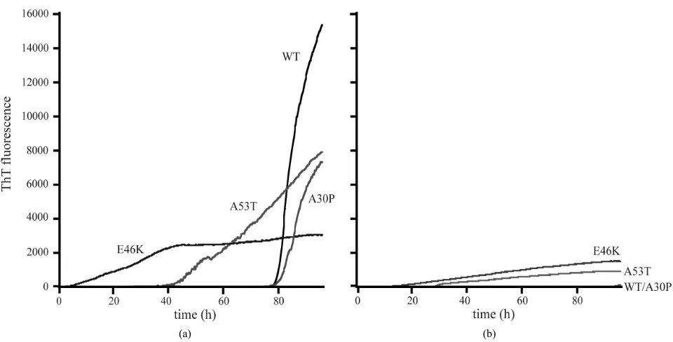 Figure 2. The plot of time courses for the molar ellipticities at wavelength 218 nm for the wild-type (circle), A30P (square), E46K (diamond) and A53T (triangle) mutant α-synucleins in the (a) absence and (b) presence of 1 mM DA