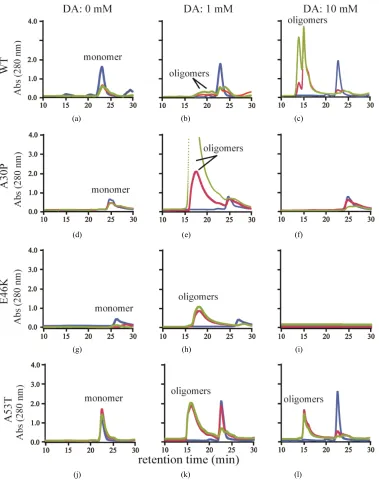 Figure 3. Size exclusion chromatography of (a)-(c) the wild-type, (d)-(f) A30P, (g)-(i) E46K and (j)-(l) h (blue), 72 h (red) and 120 h (green)