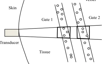 Figure 1. The schematic diagram for estimating tissue attenuation coefficient using echoes from two range gates