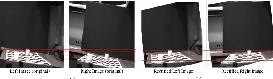 Figure 7. (a) Right and left image before rectification step; (b) Right and left image after rectification step