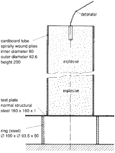 Fig. 7. Cap test (dimensions in mm)