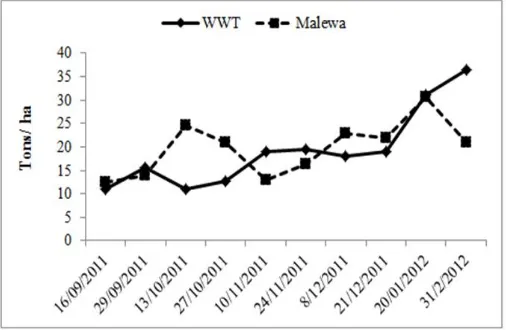 Figure 6. Mean variation of NH4-N concentration in the lake over time  