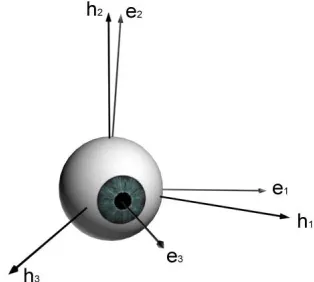 Figure 2-14 Head-fixed and eye-fixed frames 