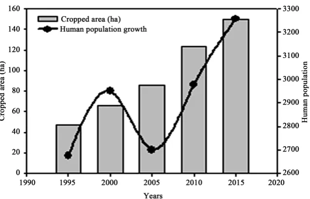 Figure 5. Population growth and area under cultivation (ha) in Vikumbulu Ward. Area under cultivation is the combination of the cassava, maizes and legumes (Source: Kisa-rawe District Council 2015)