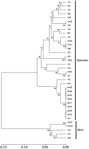 Figure 2. 12S rRNA Neighbor-joining phylogenetic tree showing the relationships of Seizure with the other species   