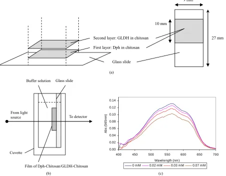 Figure 1. The process of stacked immobilization of Dph-Chitosan/GLDH-Chitosan onto a glass slide (a); the biosensor used for measurement of ammonium concentration (b); and its absorption spectra at various concentrations of ammonium (c)