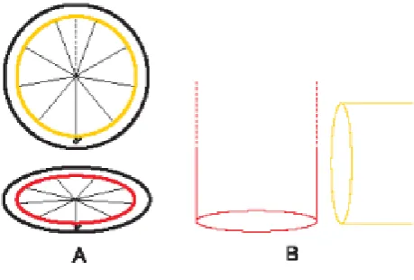 Figure 2. Centrosome theoretical geometrical model: a spherical 