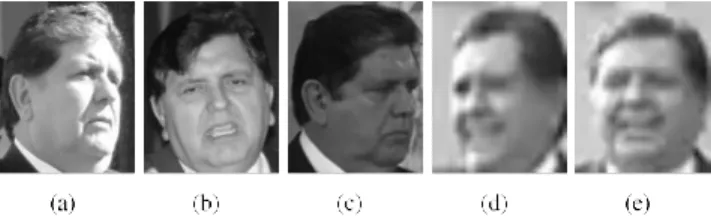 Fig. 6.    Sample cropped images from the subset of the IJB-A    dataset. 