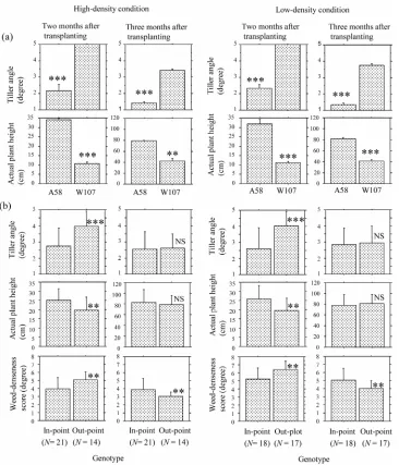 Figure 2. Comparisons of tiller angle (TA), actual plant height (APH) between the two-parental lines, A58 and W107 (a), and those of TA, APH and weed-denseness score (WDS) between in-point and out-point genotypes of the recombinant-inbred 
