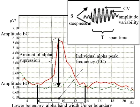 Figure 1. Alpha activity indices (EC-eyes closed—bold line spectra, EO-eyes open—dotted line spectra)