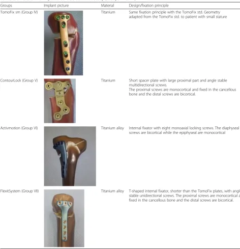 Table 2 Different HTO implants considered in the study (Groups IV to VII)