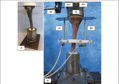 Table 3 Specimen grouping and assignment, depending on used implants and the performed test