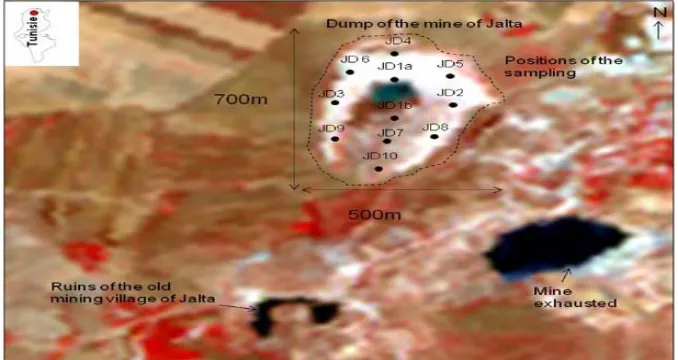Figure 1. Location of the study area: mine of Jalta and waste samples.  